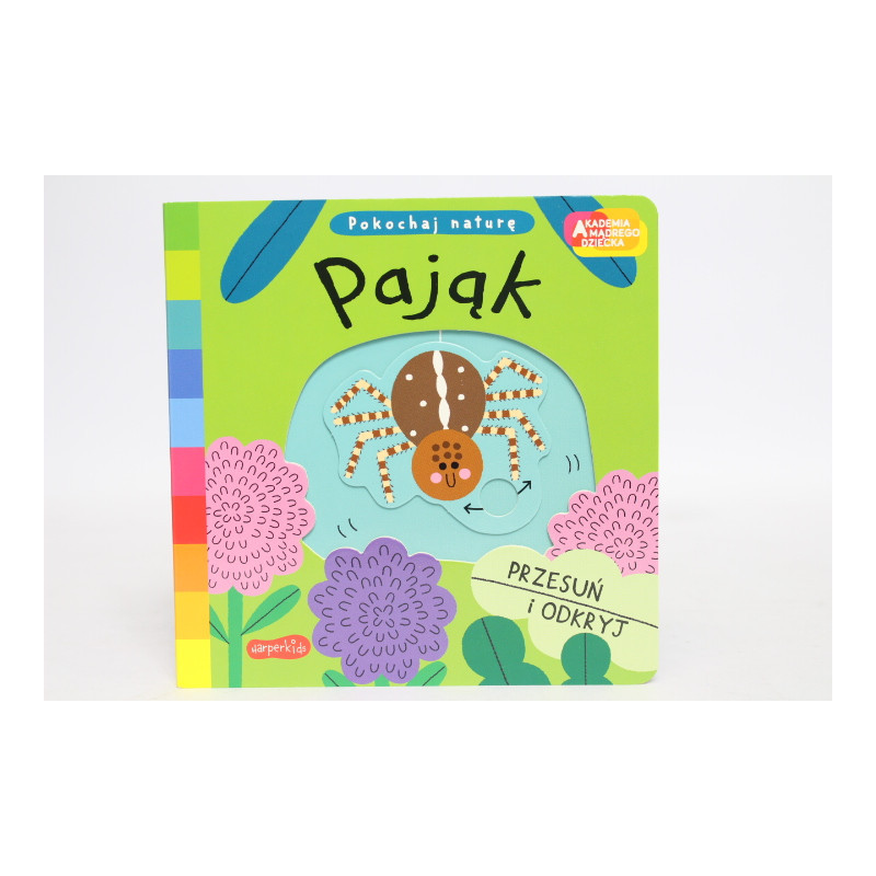 Akademia...Pokochaj naturę Pająk 58.11.13 63337