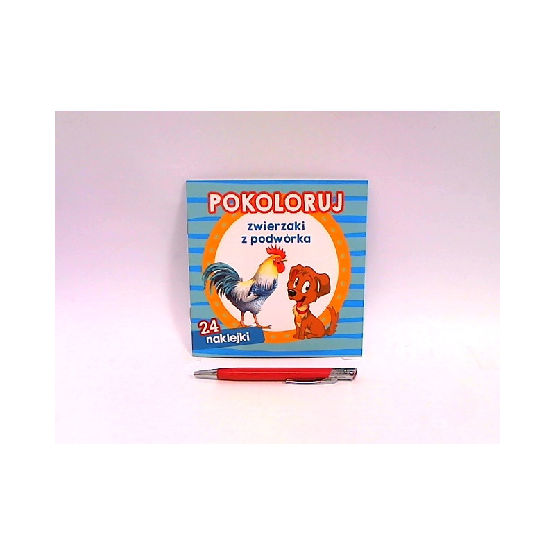 Pokoloruj Zwierzaki z podwórka 58.11.13.0 59017