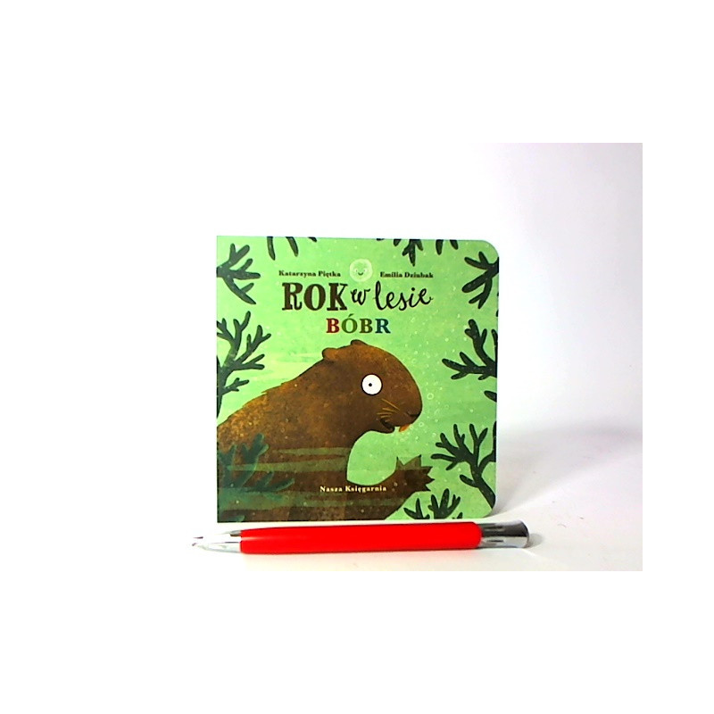 Rok w lesie Bóbr 36404