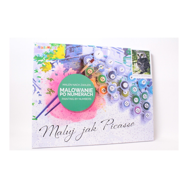  Malowanie po numer.Sowa na gałęzi 1008989