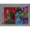  PUZZLE 1000 Wesołe koty 10591 