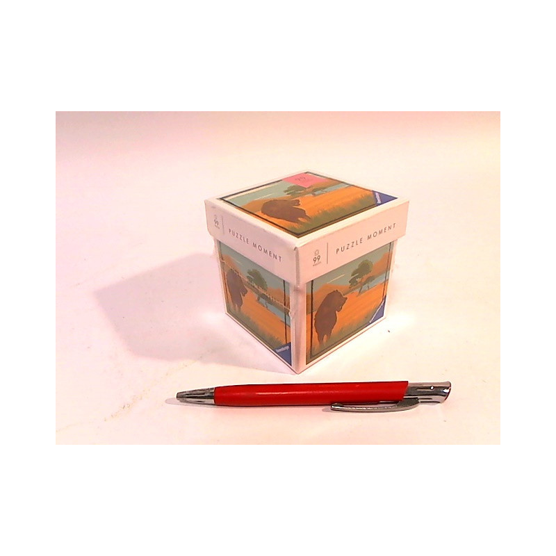  RAV puzzle Moment 99 Safari 16540