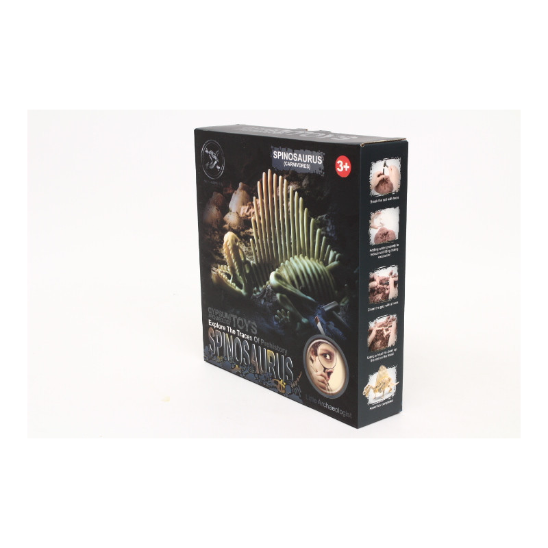  Skamielina dinozaur 1008204 82046