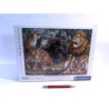 CLE puzzle 500 HQ Wild Cats 35126