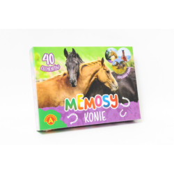 Pamięć konie 27808