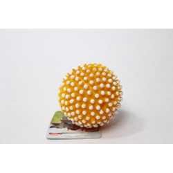 Piłka z kolcami piszcząca 8,1cm 216 72169