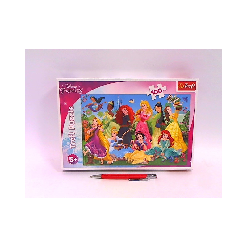PUZZLE 100 Czarujące Księżniczki 16417