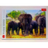 PUZZLE 1000 Afrykańskie słonie 10442