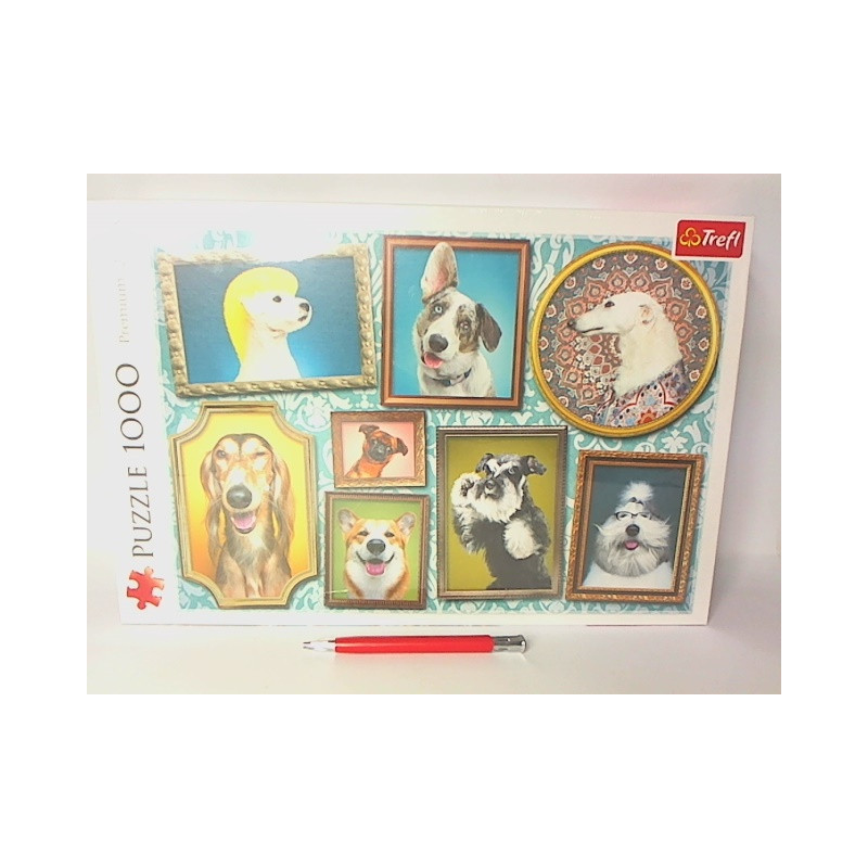 PUZZLE 1000 Psia Galeria 10686