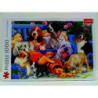 PUZZLE 1000 Psy w ogrodzie 10556