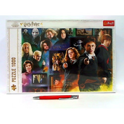 PUZZLE 1000 Świat czarodziejów / Warber 10668