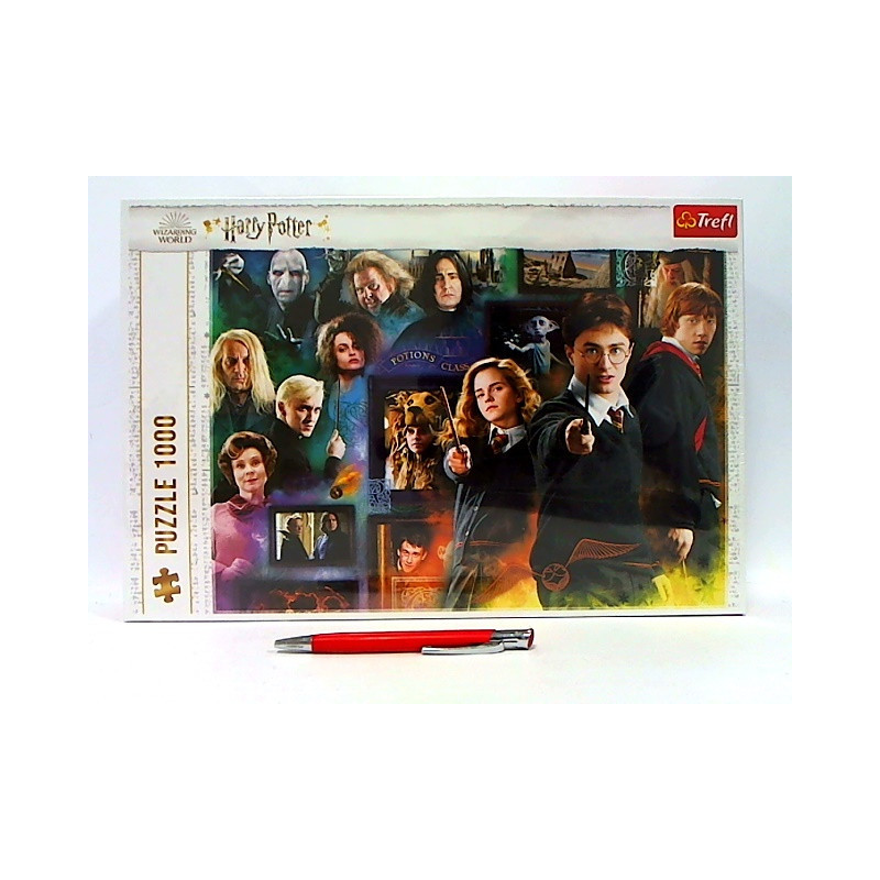 PUZZLE 1000 Świat czarodziejów / Warber 10668