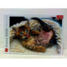 PUZZLE 1000 Wesoły kotek 10448