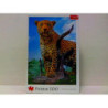 PUZZLE 500 Dziki lampart 37332
