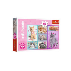 PUZZLE 60 Słodkie kociaki /Trefl 17373