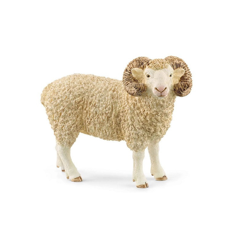 SLH baran 13937 62168