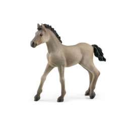 SLH Criollo Definitivo źrebię 13949 86673