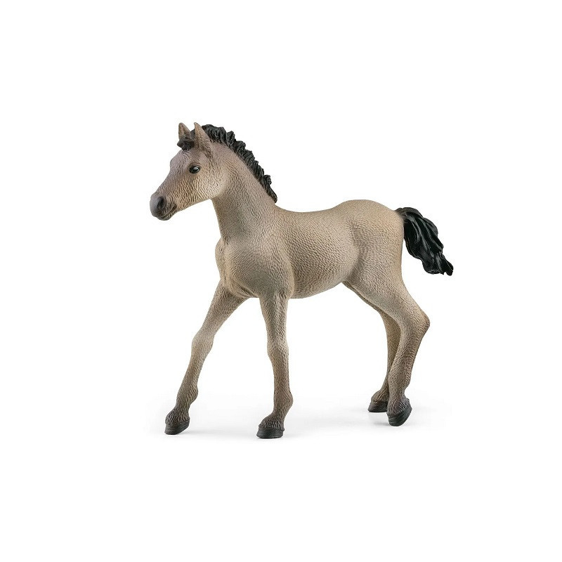 SLH Criollo Definitivo źrebię 13949 86673