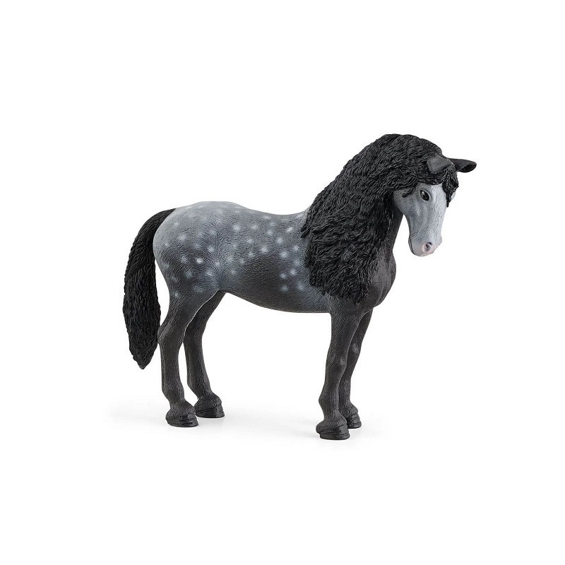 SLH hiszpańska klacz 13922 05127