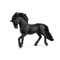 SLH hiszpański ogier 13923 05134