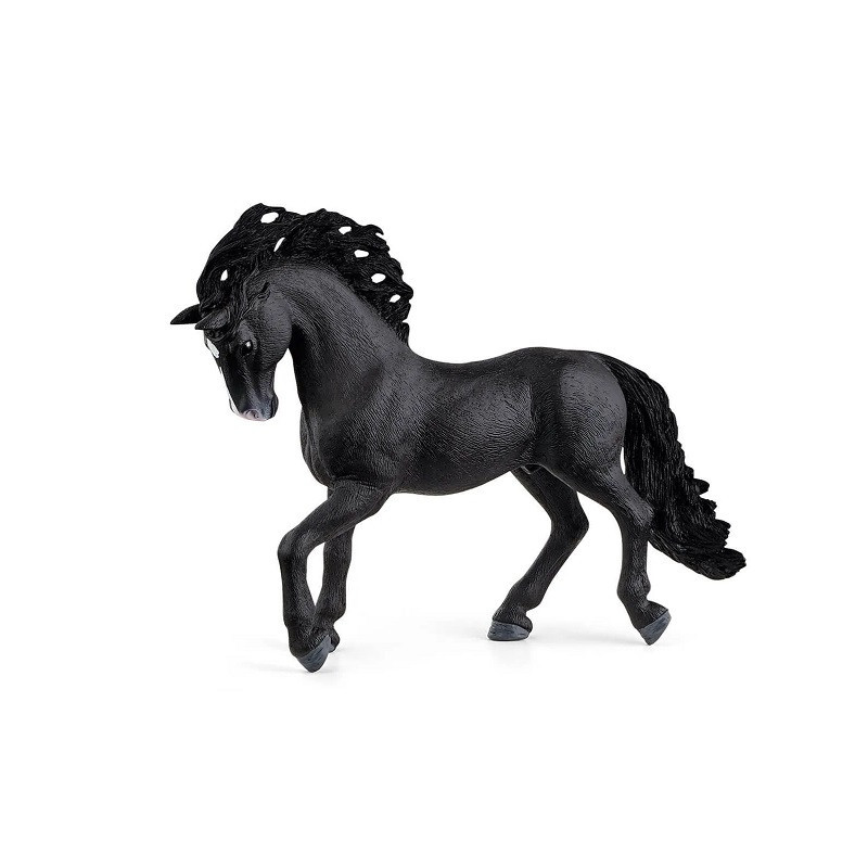 SLH hiszpański ogier 13923 05134