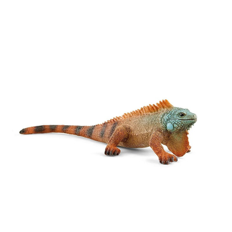 SLH iguana 14854 54764