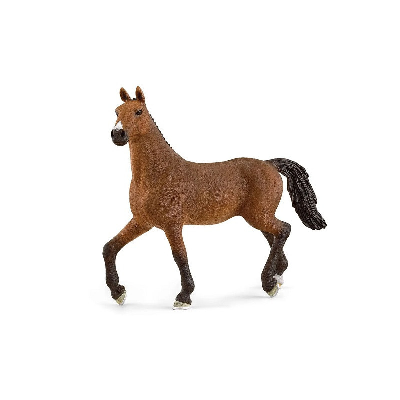 SLH klacz Oldenburska 13945 57195