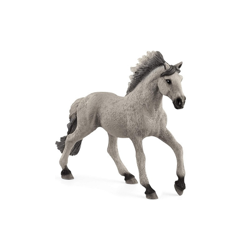 SLH koń Mustang ogier rasy Sorraia 13915 06226