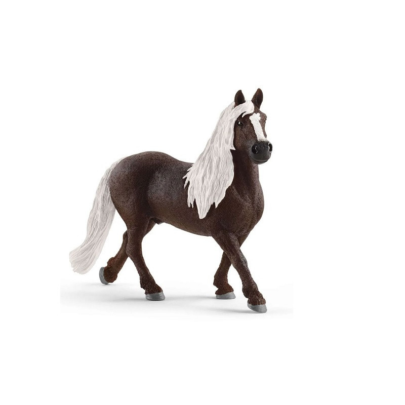 SLH koń Szwedzki ogier 20_ 13897 38988