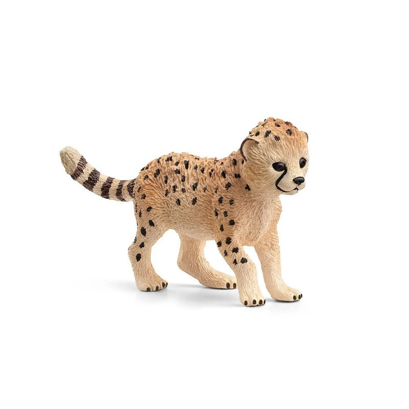 SLH młody gepard 14866 27574