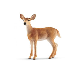 SLH mulak białoogonowy 14819 29615