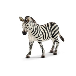 SLH samica zebry 14810 20780