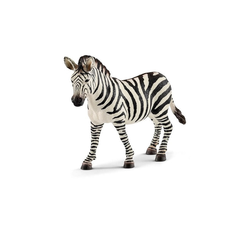 SLH samica zebry 14810 20780