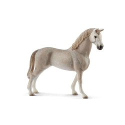 SLH wałach rasy Holsztyńskiej 13859 21343