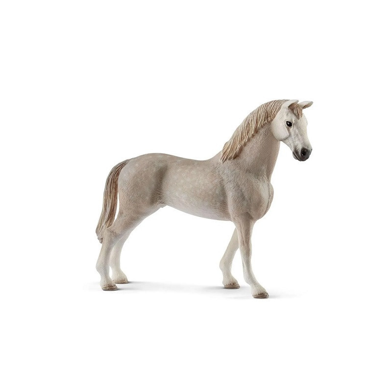 SLH wałach rasy Holsztyńskiej 13859 21343