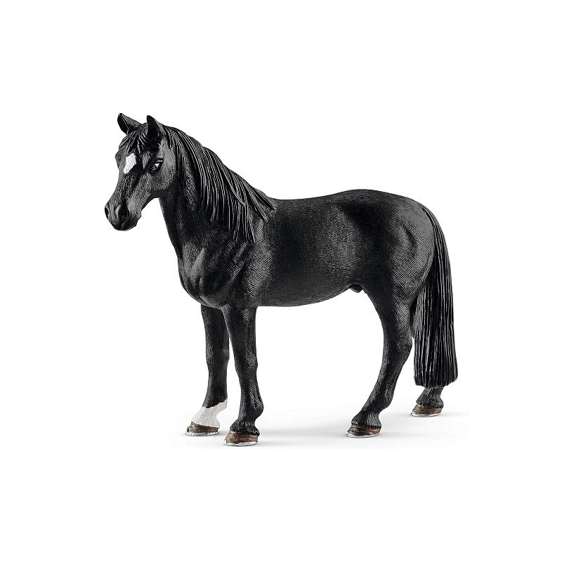 SLH wałach rasy Tennessee Walker 13832 33939