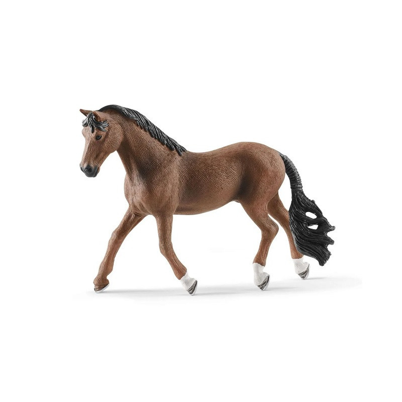 SLH wałach Trakehner 20_ 13909 13626