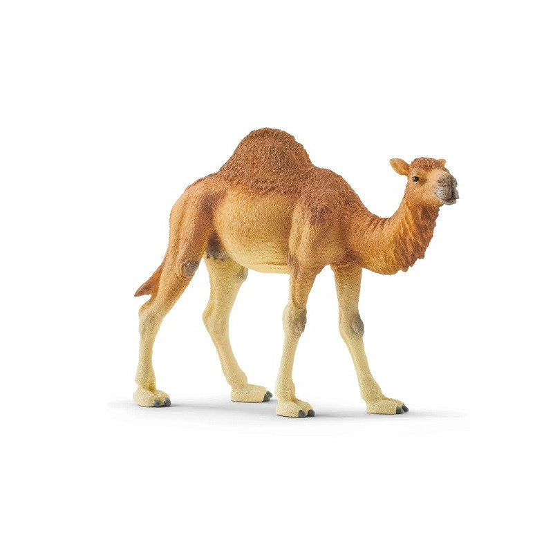 SLH wielbłąd dromader 14832 39671