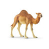 SLH wielbłąd dromader 14832 39671