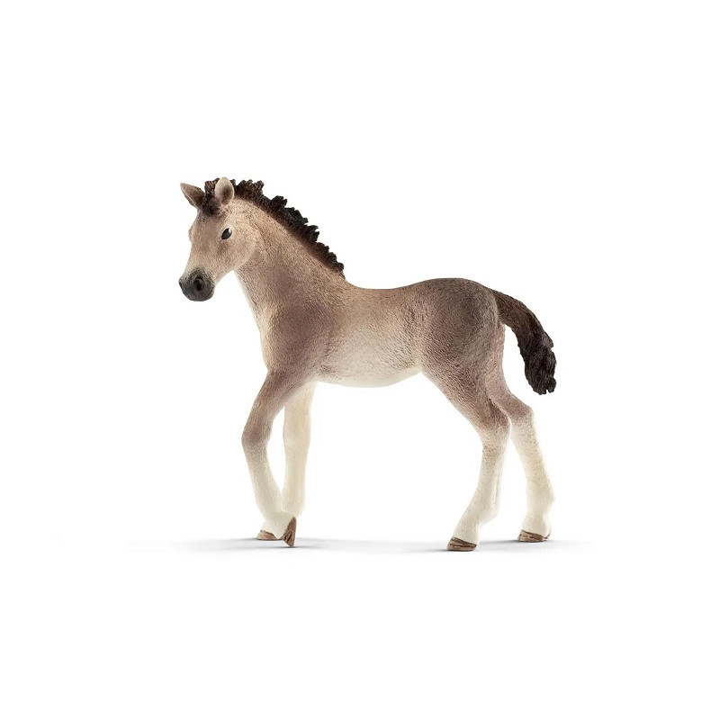 SLH źrebię rasy Andaluzyjskiej 13822 25575