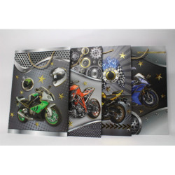 Torebka upominkowa WK 22266L 16830