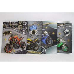 Torebka upominkowa WK 22266M 16823