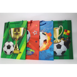 Torebka upominkowa WK 22267L 16045