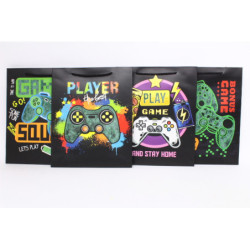 Torebka upominkowa WK 22268M 16878