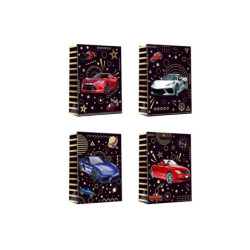 Torebka upominkowa WK 22269L 17561