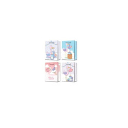 Torebka upominkowa WK 22318M 17462