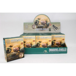 Wykopaliska zestaw muszle H13337 39658