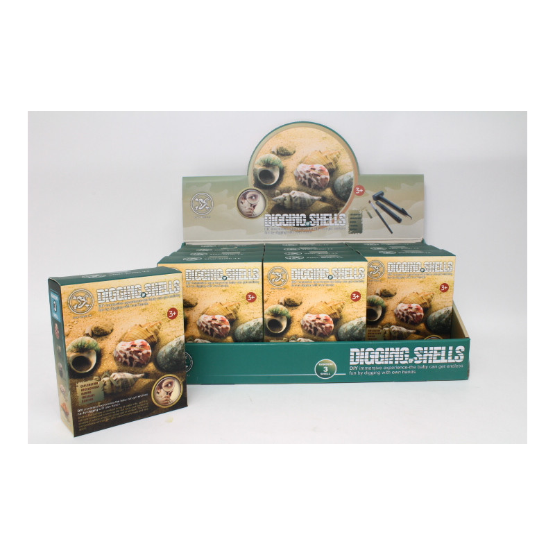 Wykopaliska zestaw muszle H13337 39658