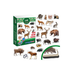 Zestaw magnesów Mieszkańcy z lasu 6032-09 54376