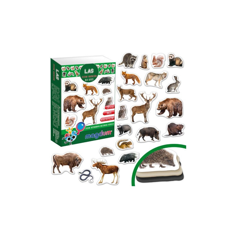 Zestaw magnesów Mieszkańcy z lasu 6032-09 54376